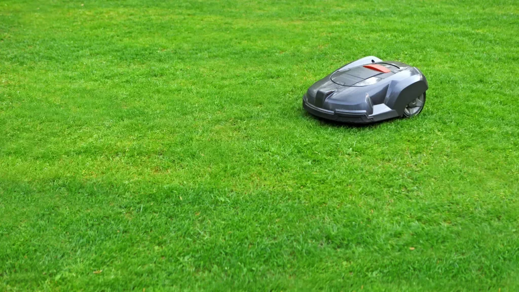 Jak przygotować ogród na robota koszącego